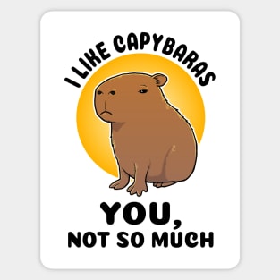 I like capybaras You not so much Capybara Sticker